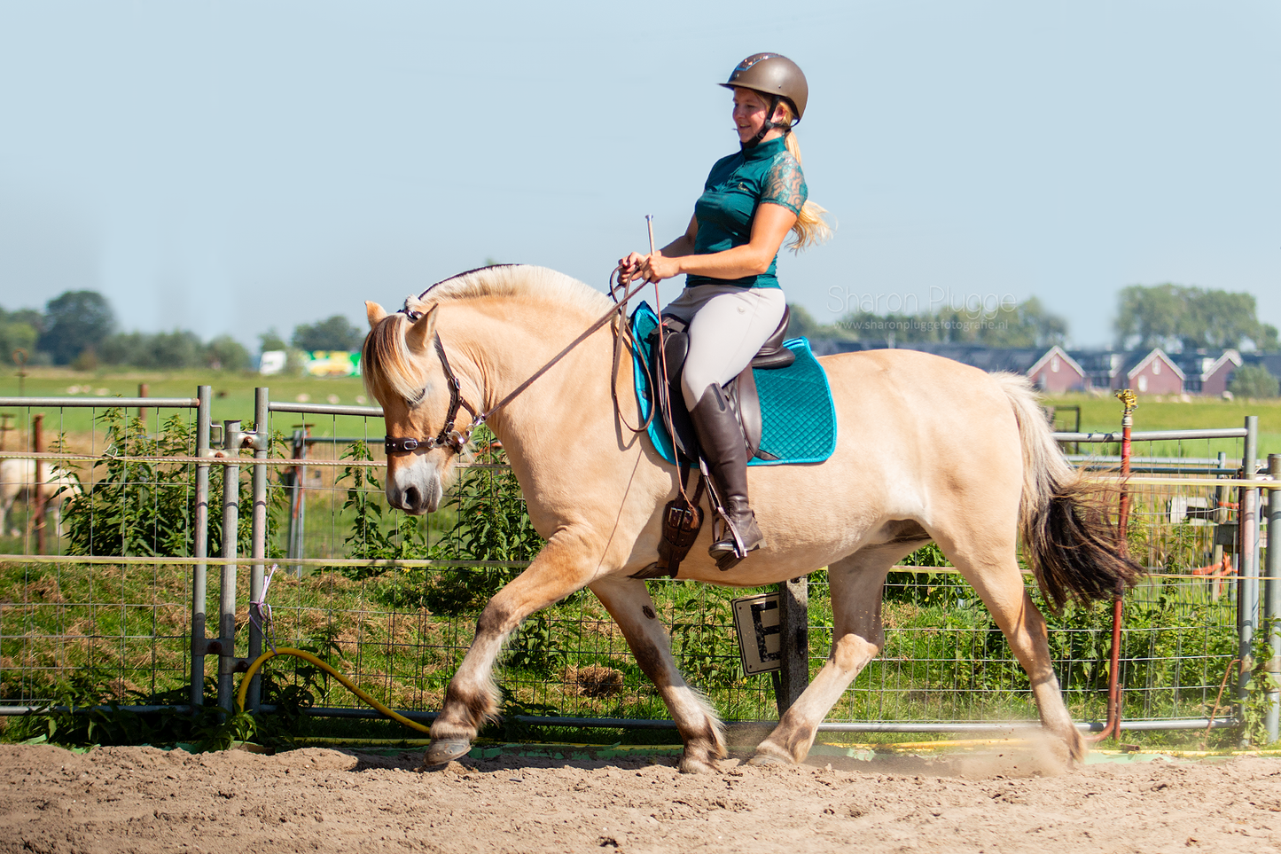 Edix EDIX DR Velvet 8-pocket pad