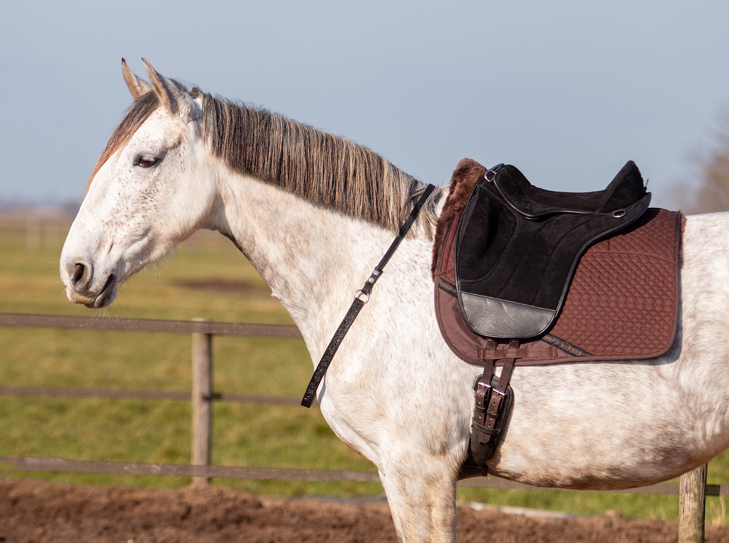 EDIX Union barebackpad