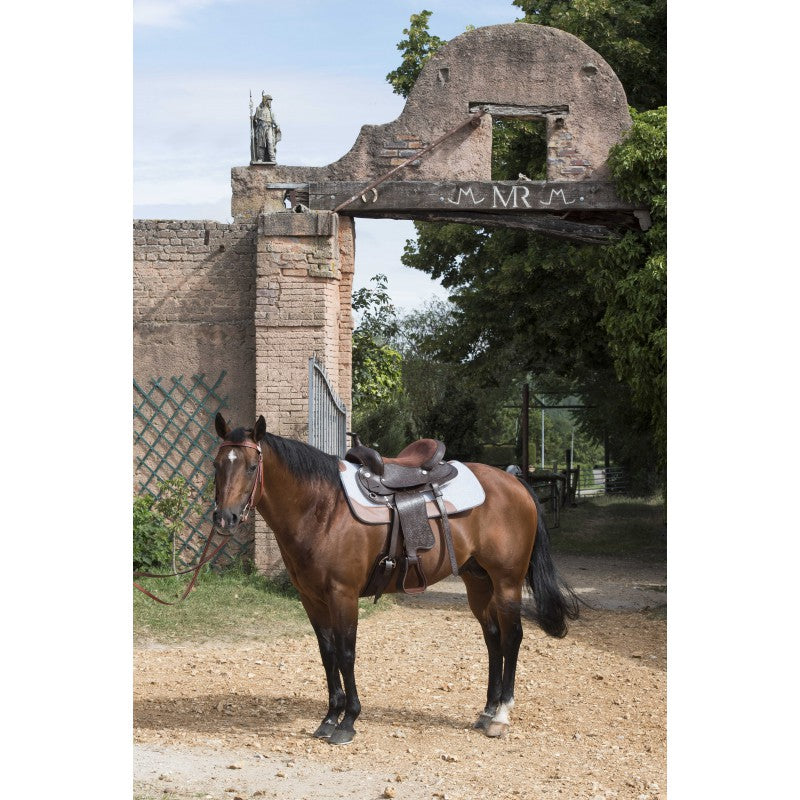 Norton WESTRIDE Felt saddle pad 16 mm